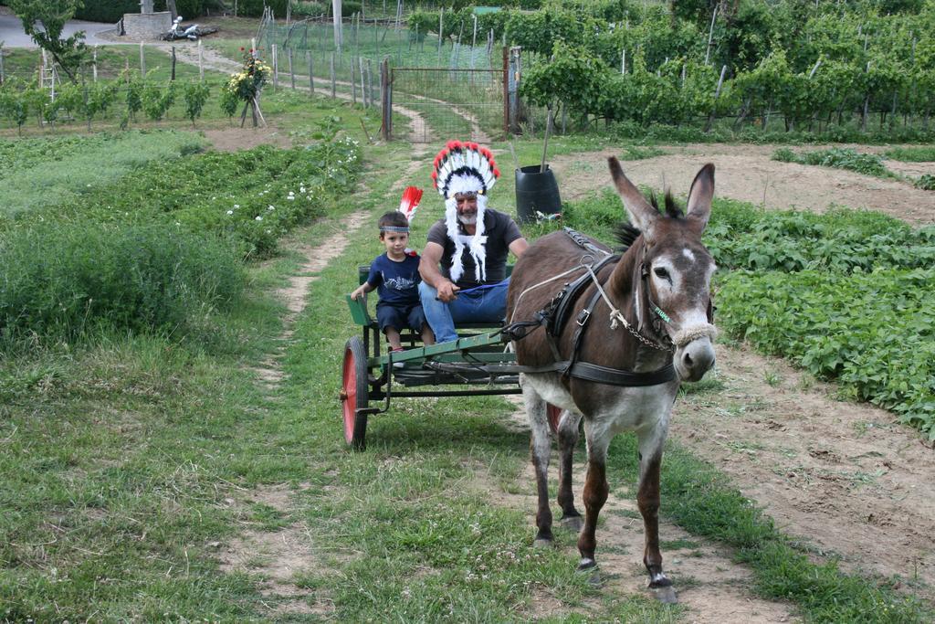 Podere La Fornace *